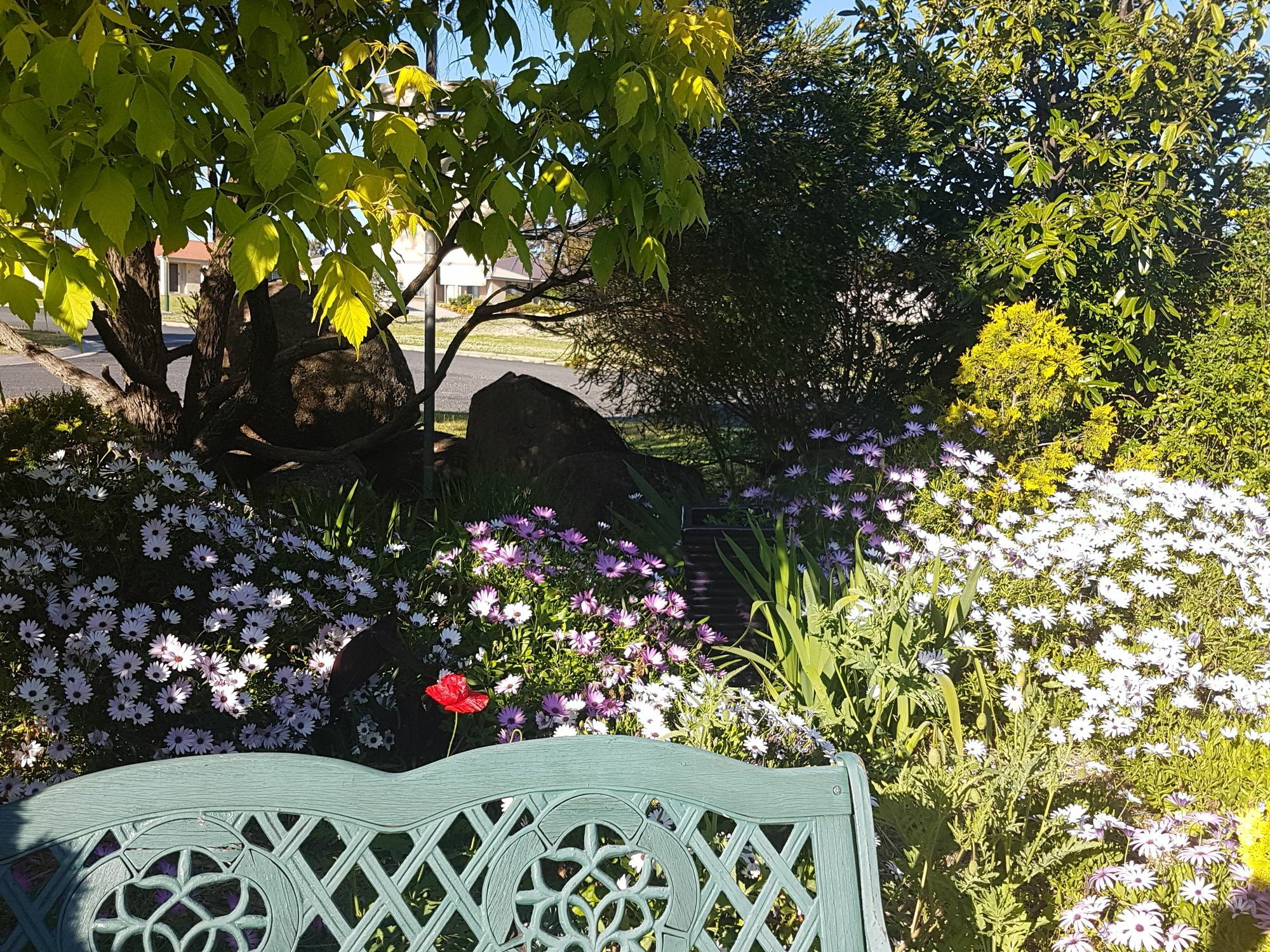 Bed and Breakfast Grovely House Stanthorpe Exteriér fotografie