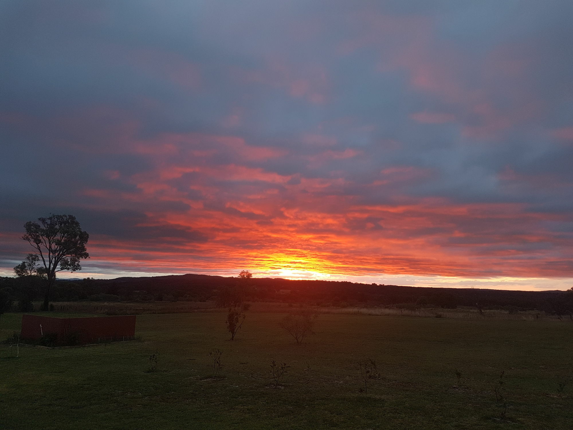 Bed and Breakfast Grovely House Stanthorpe Exteriér fotografie
