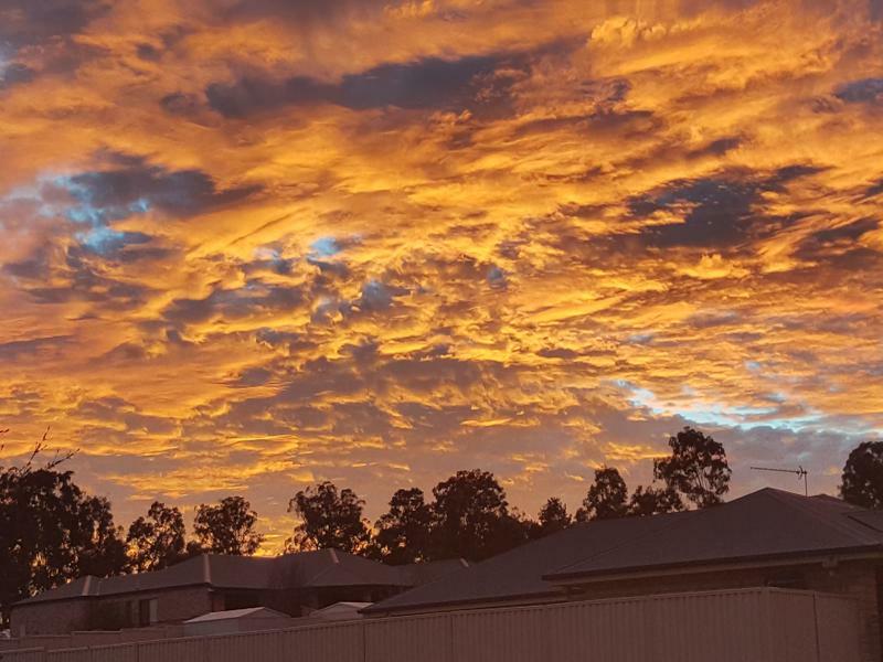 Bed and Breakfast Grovely House Stanthorpe Exteriér fotografie
