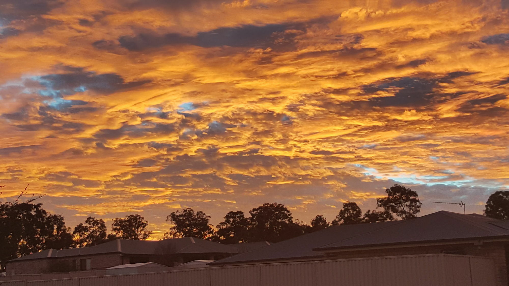 Bed and Breakfast Grovely House Stanthorpe Exteriér fotografie